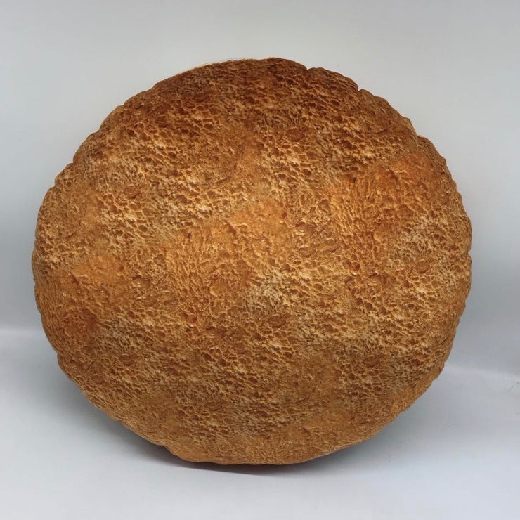 Concha Pillow - Realistic