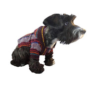 Dog Mexican Poncho Hoodies