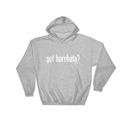 Got Horchata? Unisex Hoodie