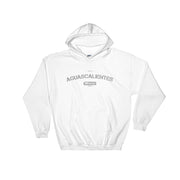 Aguascalientes Unisex Hoodie