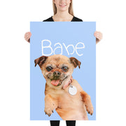 Babe Poster