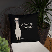 Como Se Llama Stuffed Pillow