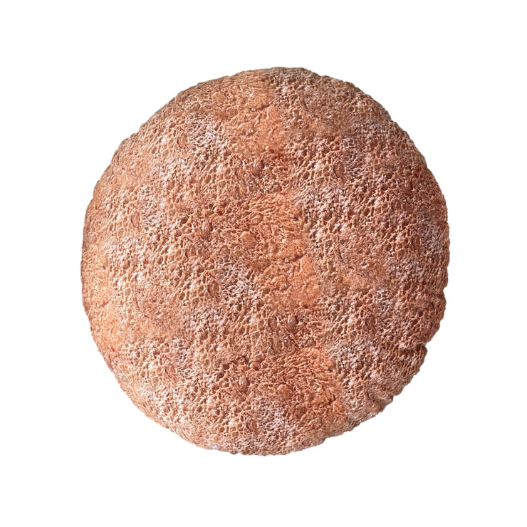 Concha Pillow - Realistic