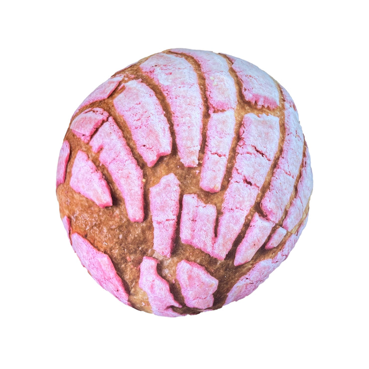Concha Pillow - Realistic